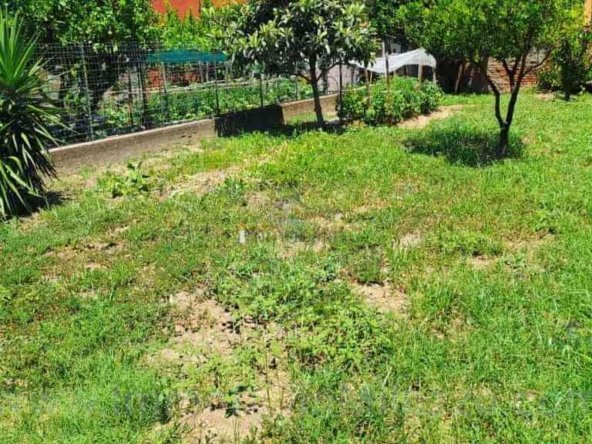 Terreno Vendita Casa Indipendente Viale Avv Ludovico Fulci, 59, Corriolo, San Filippo del Mela (Me)- Immobilfin Milazzo