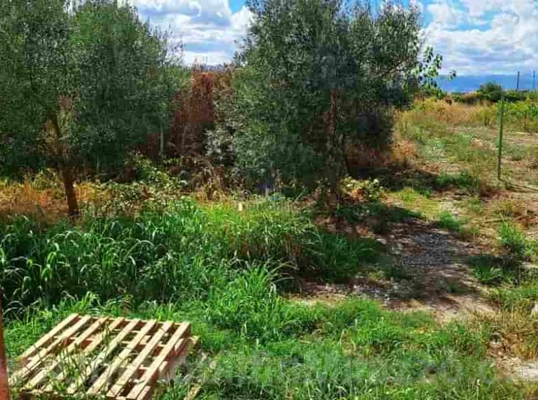 Vendita Rustico Via Garrisi, 109, Milazzo - Immobilfin